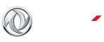 DFSK_logo_sitio_head